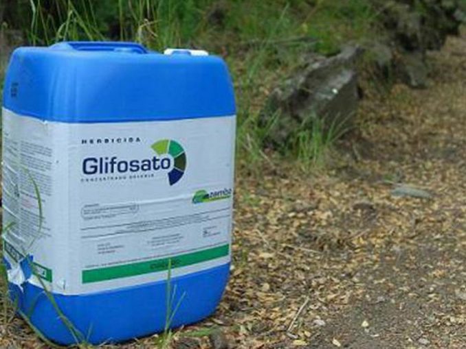 Ambiente e alimentazione, glifosato in molte famose marche di cereali