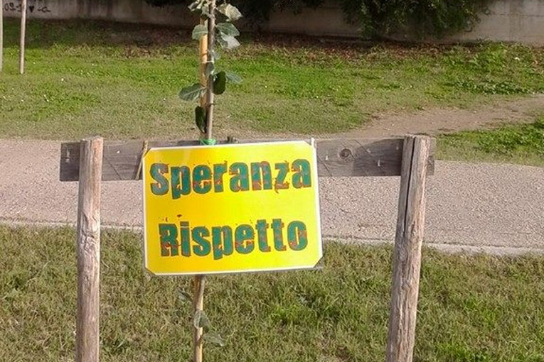 Cerveteri - La Festa dell’Albero continua, piantati tanti alberi nei cortili scolastici