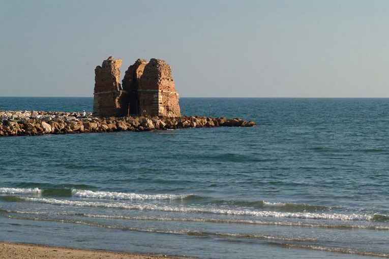 Ladispoli - Rimozione della plastica sull’arenile della Palude di Torre Flavia