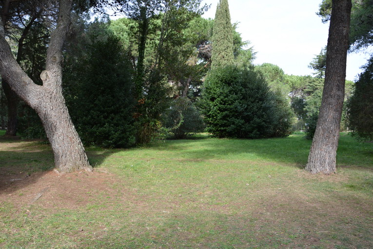 Verde, parte monitoraggio anche in ville storiche e nei municipi I e II
