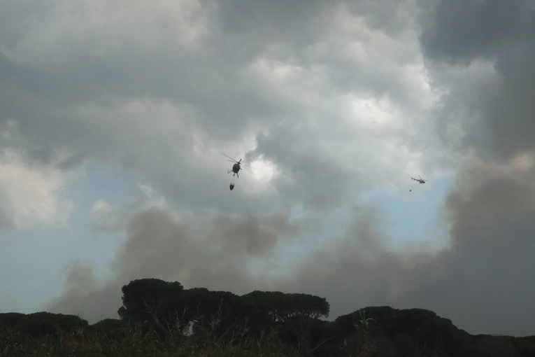 Riserva Naturale Incendi, triplicati i boschi in fiamme nel 2017 a causa della siccità