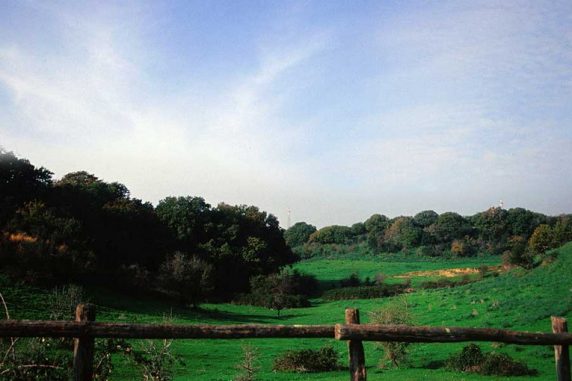 Castel di Guido, la Raggi chiede un modello d’eccellenza