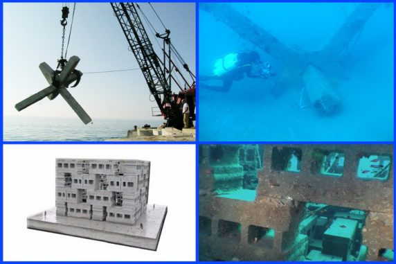 Progetto Pegaso per il ripopolamento ittico a Torvaianica