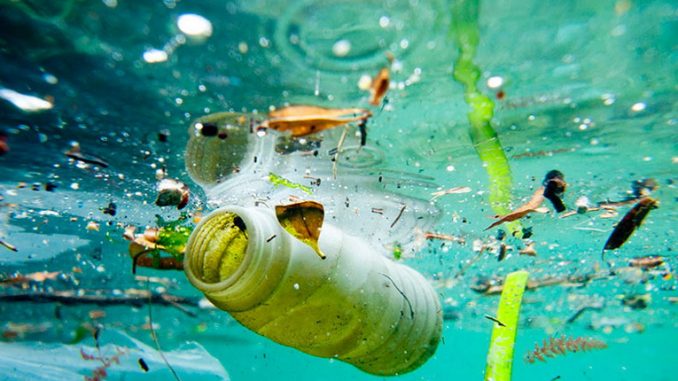Difendi il tuo mare da un mare di plastica, il 28 gennaio a Ladispoli