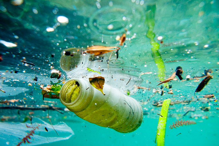 Difendi il tuo mare da un mare di plastica, il 28 gennaio a Ladispoli