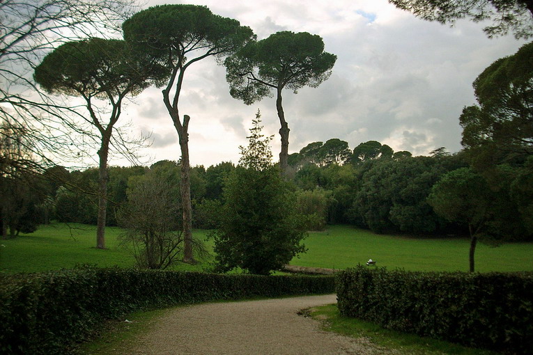 Parco di Villa Ada, il sogno di chi ama le attività all’aperto