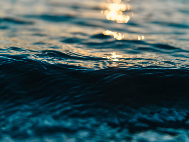 Giornata Mondiale dell’Acqua, Lago di Bracciano ecosistema da conservare