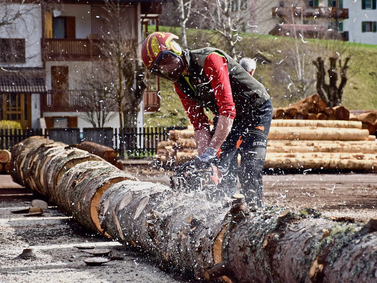 La seconda vita di Spelacchio, sarà una baby little home