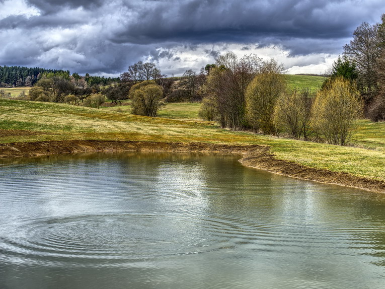Water Supply Biotech, progetto per ridurre il consumo d’acqua in agricoltura