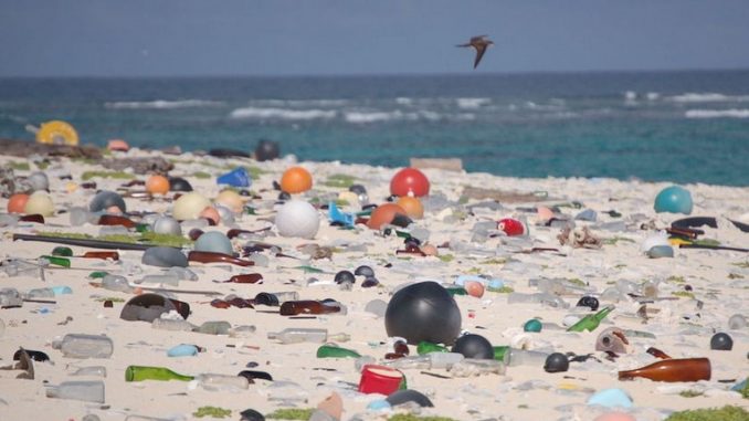La plastica che uccide il mare, se ne parla ad Ariccia con Care the Oceans