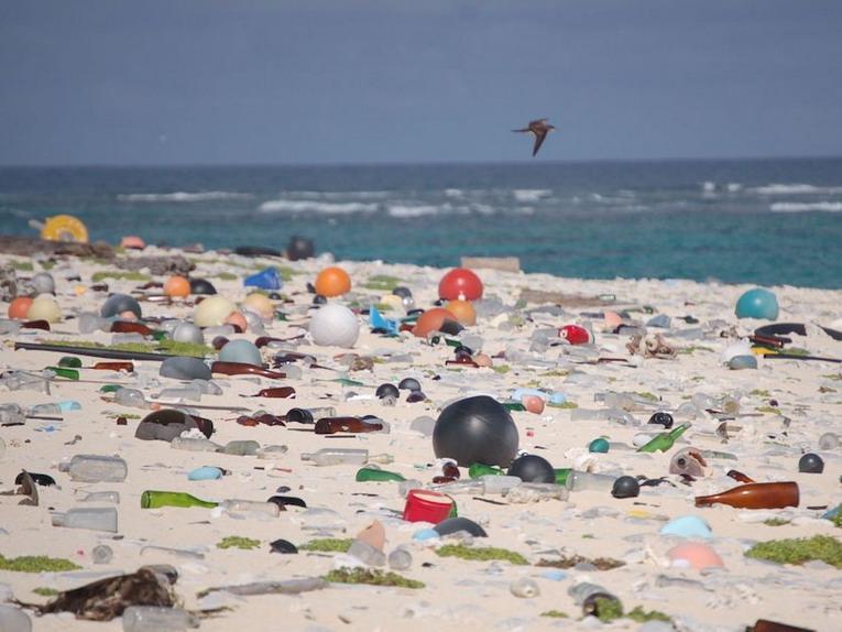 La plastica che uccide il mare, se ne parla ad Ariccia con Care the Oceans