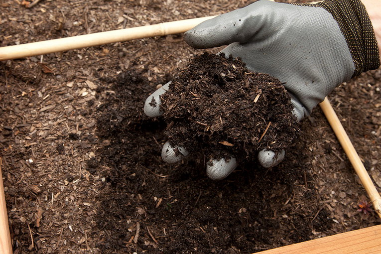 Compostaggio domestico, che cos'è come si fa