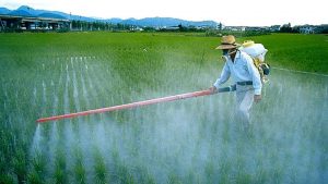 Legambiente, in marcia contro i pesticidi