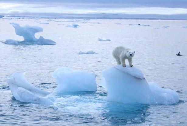 Oceani sempre più caldi, ghiacciai diminuiti di un terzo