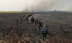 Amazzonia, incendi: più 196% rispetto al 2018