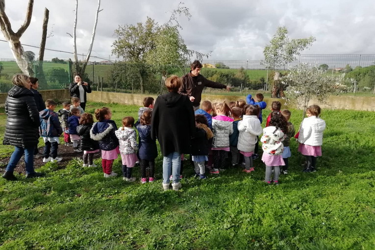 Giornata nazionale degli alberi