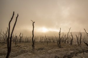 Cambiamenti climatici: cosa ci aspetta nei prossimi anni