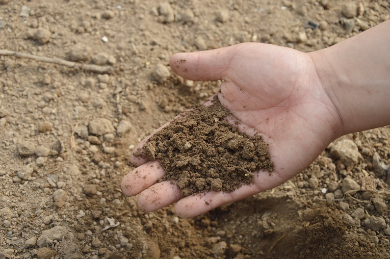 Compost