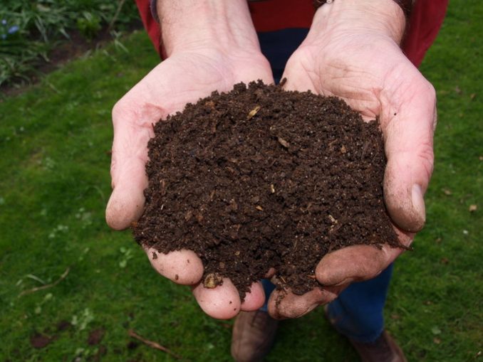 Compost