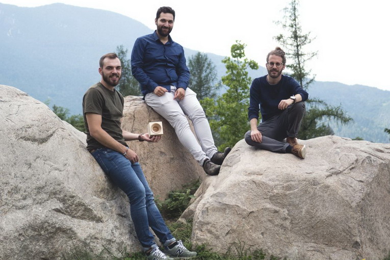 Vaia Cube, la foresta rinasce: obiettivo ripiantumazione di 7 mila alberi