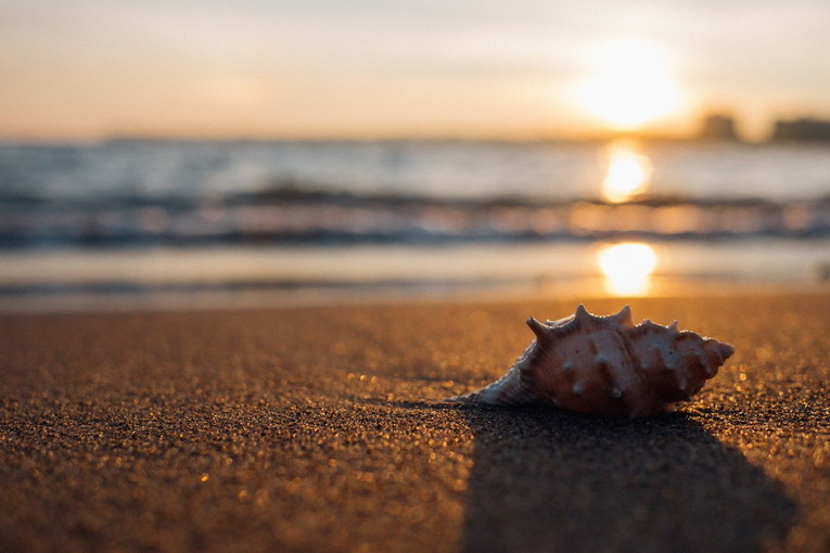 Spiagge libere