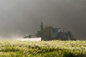 Pesticidi, con cosa si possono sostituire?
