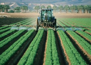 Pesticidi, cosa sono e a cosa servono