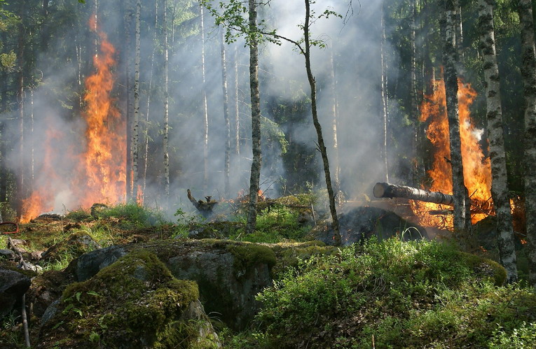 Grandi incendi