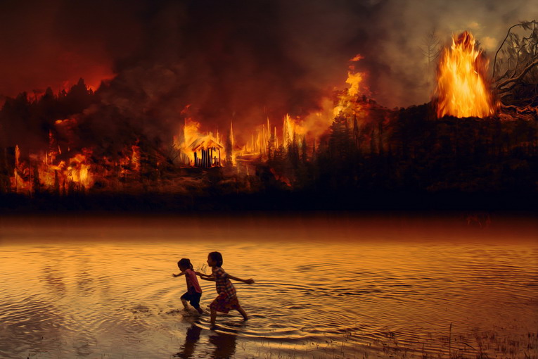Incendi boschivi