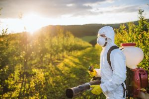Impatto dei pesticidi sull'ambiente