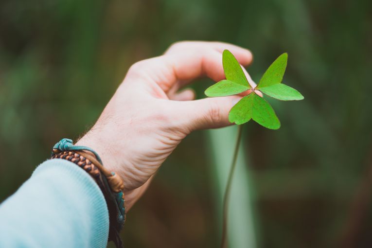 Vita quotidiana, quali comportamenti adottare per essere più green