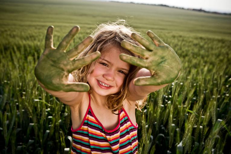 Il futuro verde: sfide e soluzioni per un pianeta sostenibile