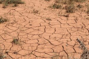Desertificazione, come si combatte   