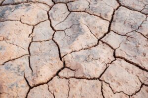 Desertificazione, quali saranno le conseguenze