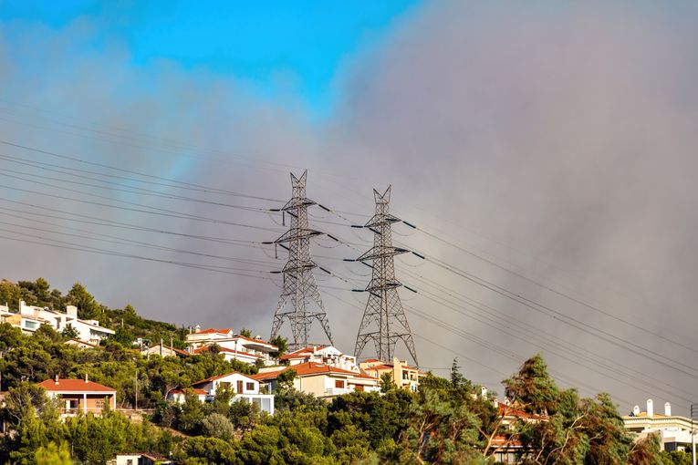 Cop15, che cos’è  