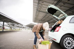 auto elettriche