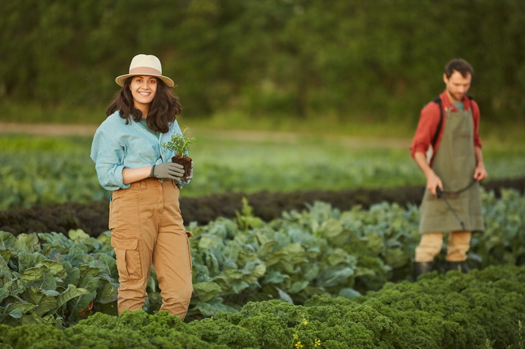 agricoltura