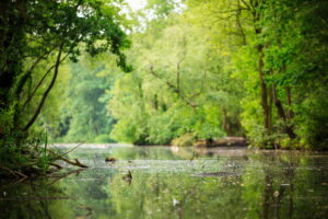 biodiversità