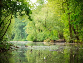 biodiversità