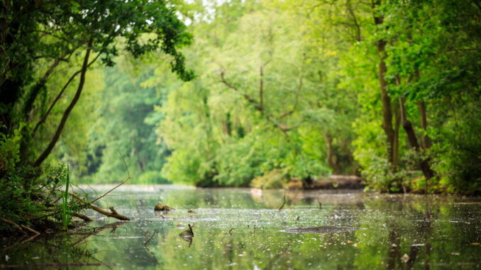 biodiversità