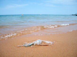 L'inquinamento da plastica negli oceani