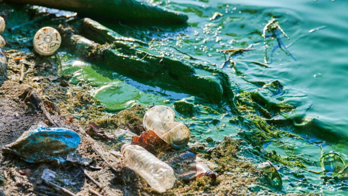 Fonti di inquinamento marino: da dove proviene?