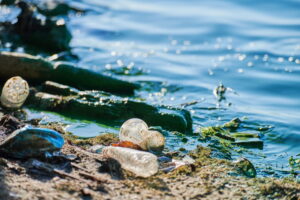 L'inquinamento marino e la biodiversità: pericoli e sfide