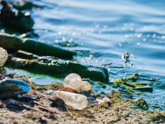 L'inquinamento marino e la biodiversità: pericoli e sfide