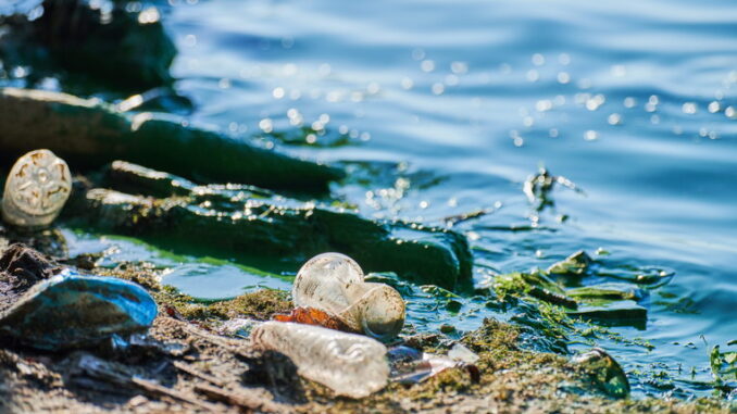 L'inquinamento marino e la biodiversità: pericoli e sfide