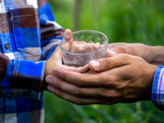 Acqua potabile e cambiamento climatico: sfide e adattamenti