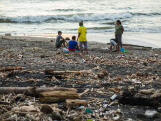 Il ruolo delle microplastiche nella contaminazione marina