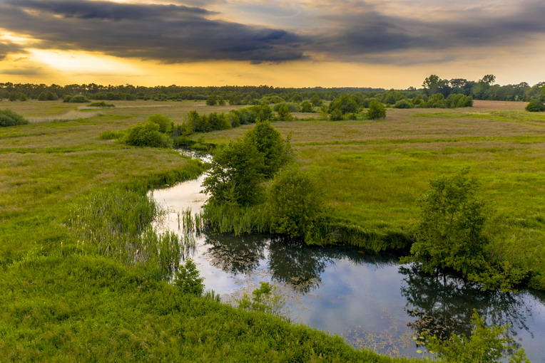 L’educazione ambientale nelle riserve naturalistiche