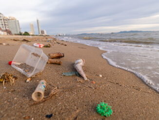 L'acidificazione degli oceani: un problema silenzioso