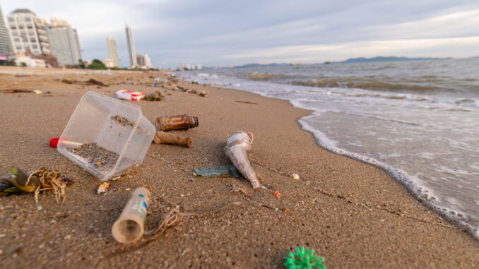 L'acidificazione degli oceani: un problema silenzioso